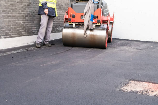 Best Driveway Snow Removal Preparation  in Chieand, FL